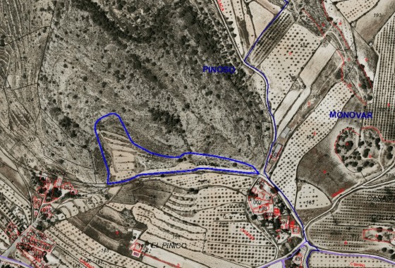 Sale - Grond -
Pinoso