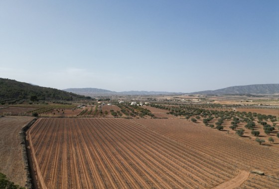 Herverkoop -  -
Pinoso