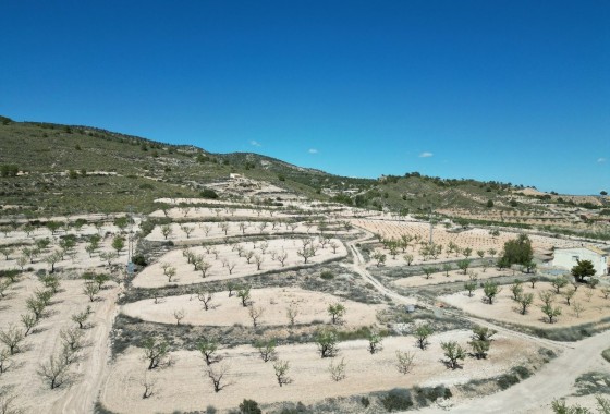 Herverkoop - Grond -
Pinoso