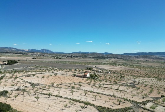 Herverkoop - Grond -
Pinoso