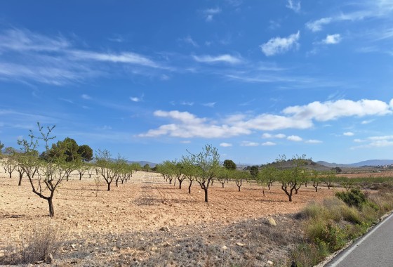 Herverkoop - Grond -
La Zarza