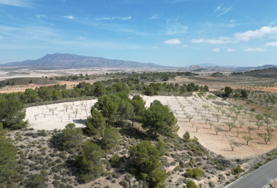 Herverkoop - Grond -
La Zarza