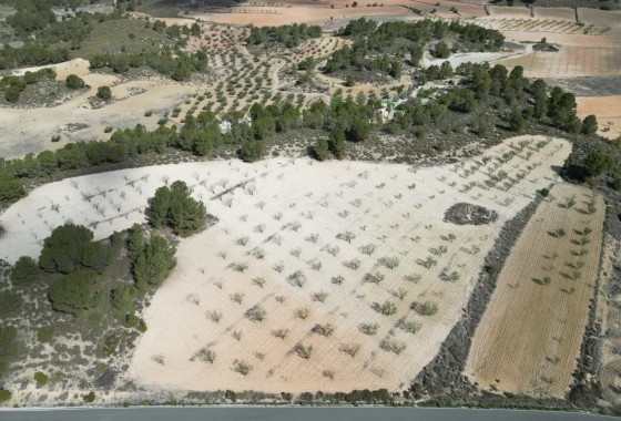 Herverkoop - Grond -
La Zarza