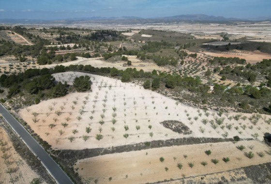 Herverkoop - Grond -
La Zarza