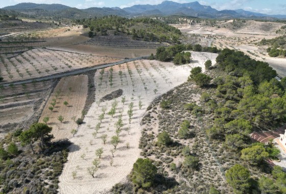 Herverkoop - Grond -
La Zarza