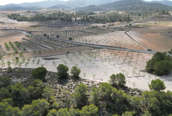 Herverkoop - Grond -
La Zarza