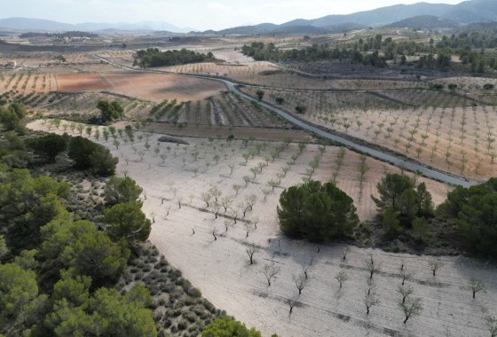 Herverkoop - Grond -
La Zarza