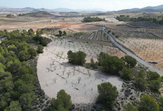 Herverkoop - Grond -
La Zarza