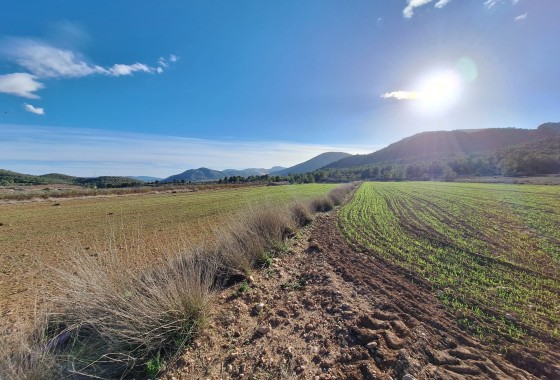 Sale - Grond -
Monovar