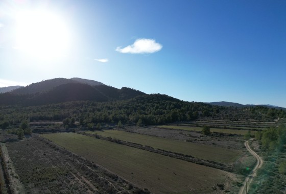 Sale - Grond -
Monovar