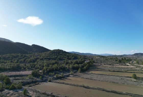 Sale - Grond -
Monovar