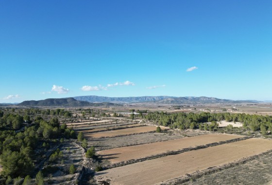 Sale - Grond -
Monovar