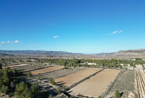 Sale - Grond -
Monovar