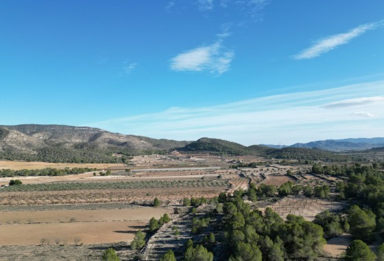 Sale - Grond -
Monovar