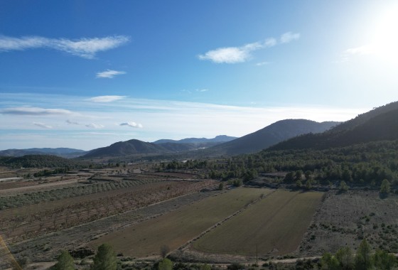 Sale - Grond -
Monovar