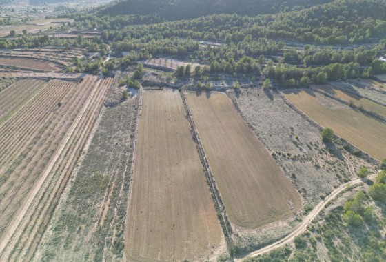 Sale - Grond -
Monovar