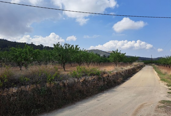 Herverkoop - Grond -
Pinoso