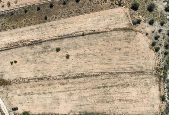 Sale - Grond -
Pinoso