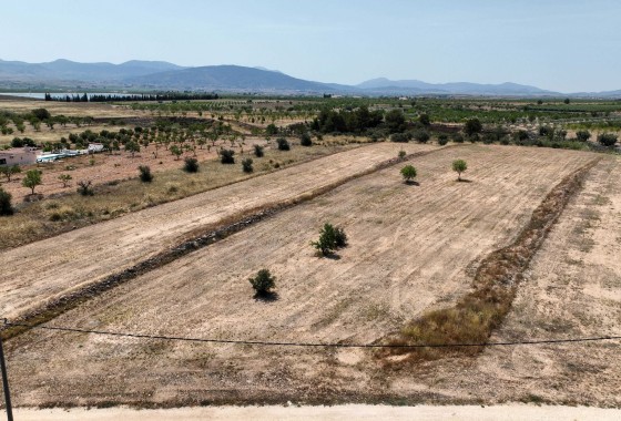 Sale - Grond -
Pinoso