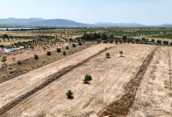 Sale - Grond -
Pinoso