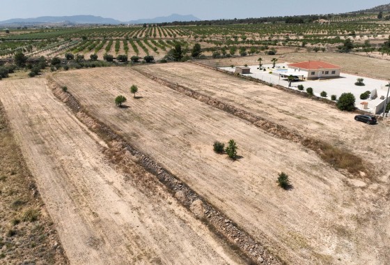 Sale - Grond -
Pinoso