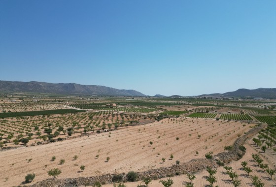 Sale - Grond -
Pinoso