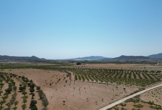 Sale - Grond -
Pinoso