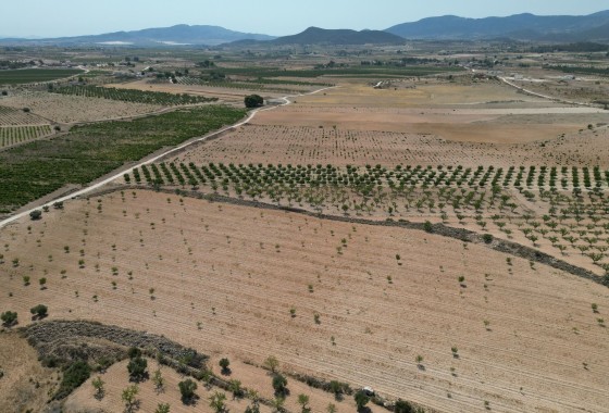 Sale - Grond -
Pinoso