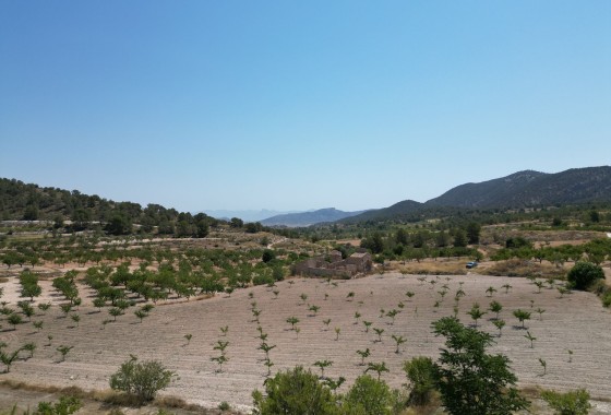 Herverkoop - Grond -
Monovar