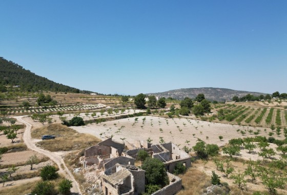 Herverkoop - Grond -
Monovar