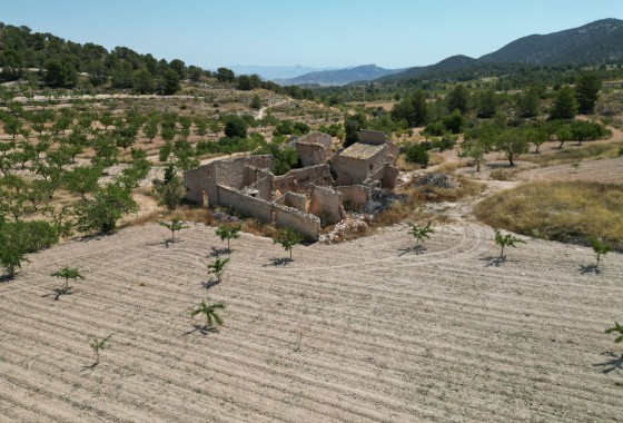 Herverkoop - Grond -
Monovar