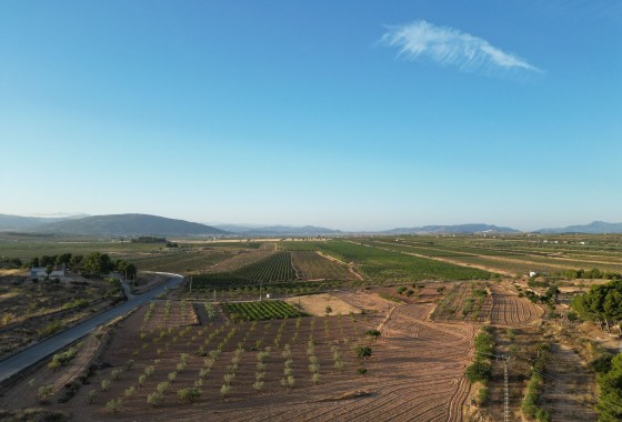 Herverkoop - Grond -
Pinoso