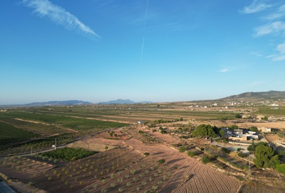 Herverkoop - Grond -
Pinoso