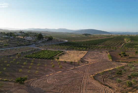 Herverkoop - Grond -
Pinoso