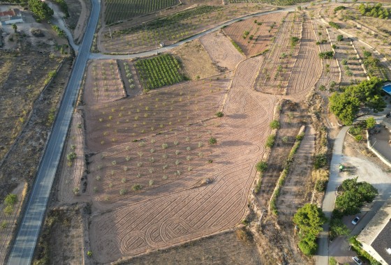 Herverkoop - Grond -
Pinoso