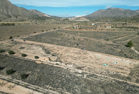 Resale -  -
Barbarroja