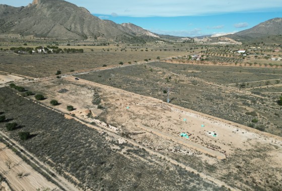 Resale -  -
Barbarroja