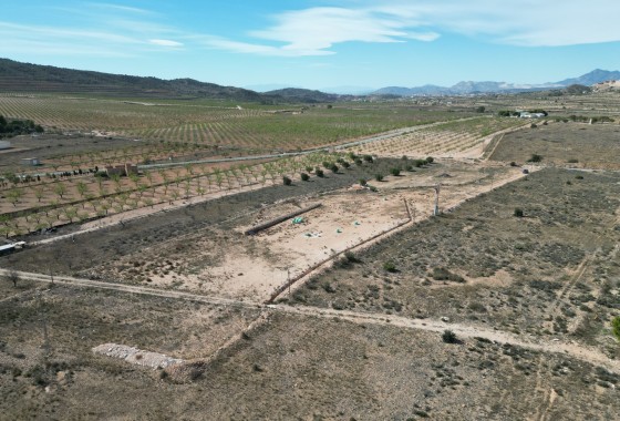 Resale -  -
Barbarroja