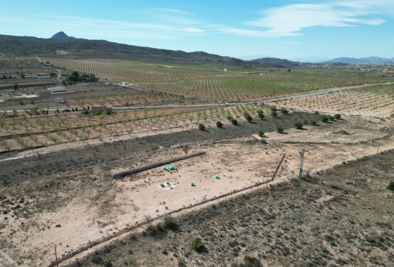 Resale -  -
Barbarroja