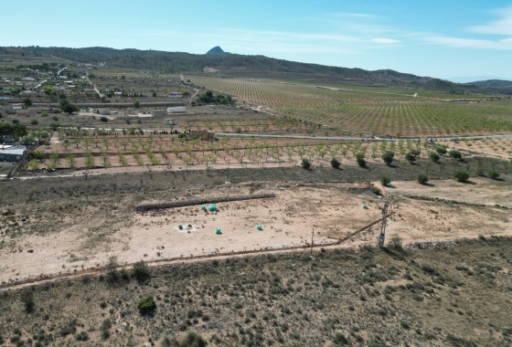 Resale -  -
Barbarroja