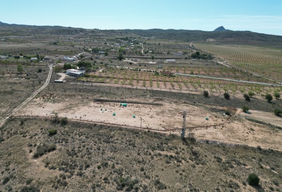 Resale -  -
Barbarroja