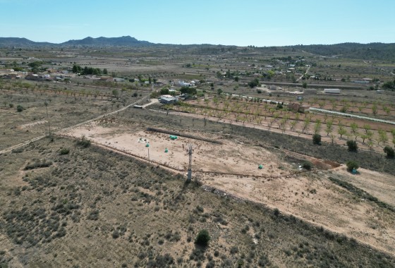 Resale -  -
Barbarroja