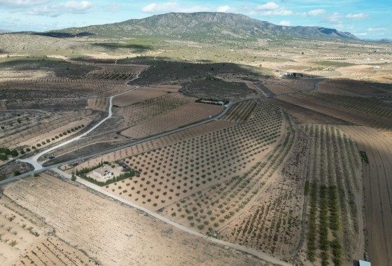 Herverkoop - Grond -
Lel