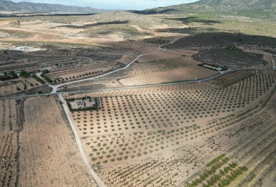 Herverkoop - Grond -
Lel