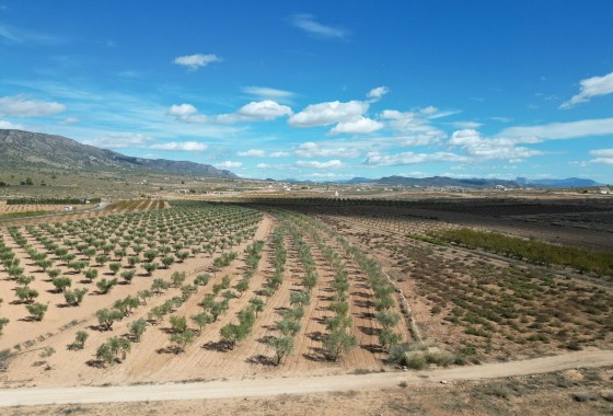 Herverkoop - Grond -
Lel