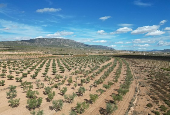 Herverkoop - Grond -
Lel