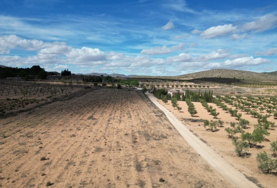 Herverkoop - Grond -
Lel