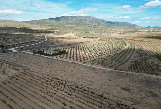 Herverkoop - Grond -
Lel