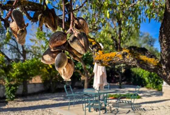 Herverkoop - Landhuis -
La Solana