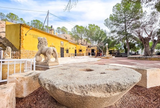 Herverkoop - Grotwoning -
Pinoso